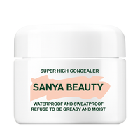BUY 1 GET 1 FREE Concealer Shading Cream